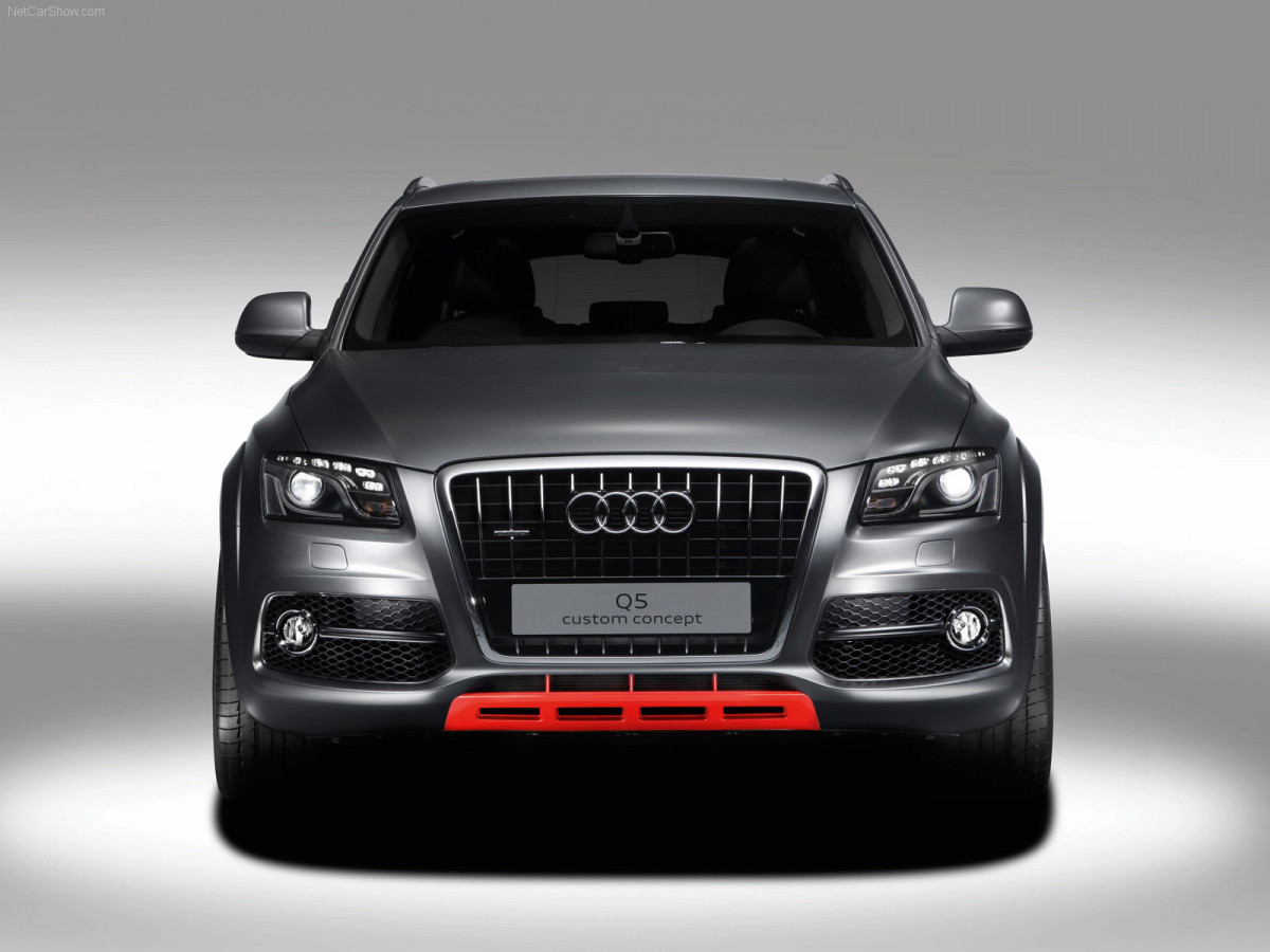 Audi Q5 Custom Concept фото 66168
