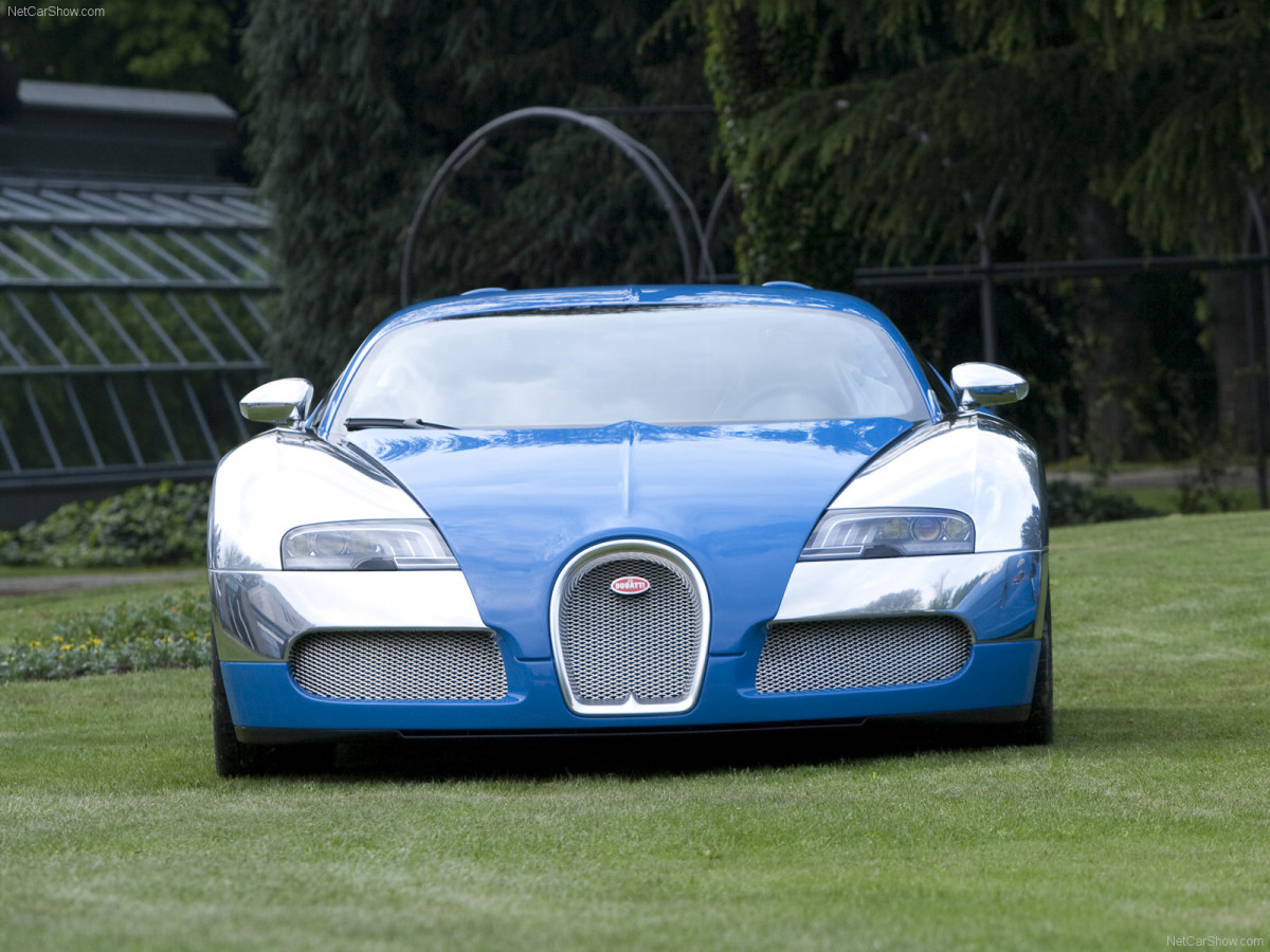 Bugatti Veyron Centenaire фото 65611