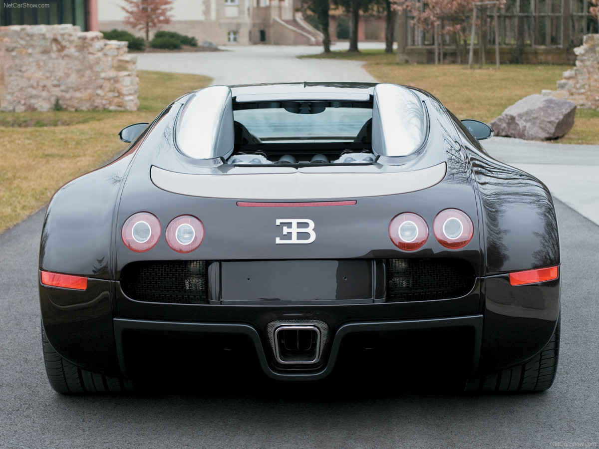 Bugatti Veyron Fbg par Hermes фото 53568