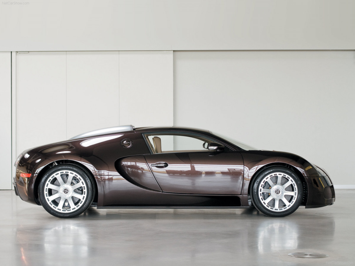 Bugatti Veyron Fbg par Hermes фото 53571