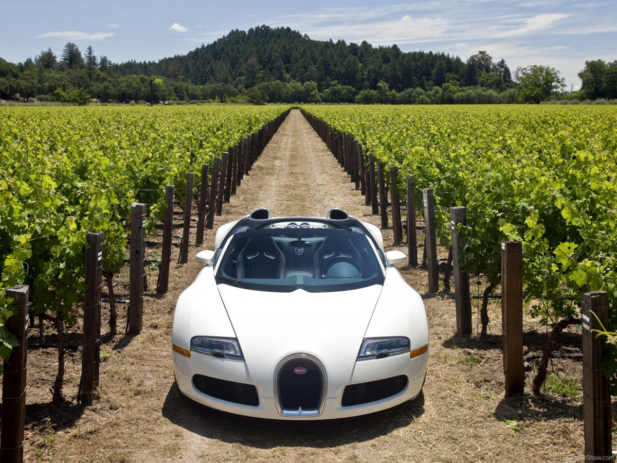 Bugatti Veyron Grand Sport фото 67126