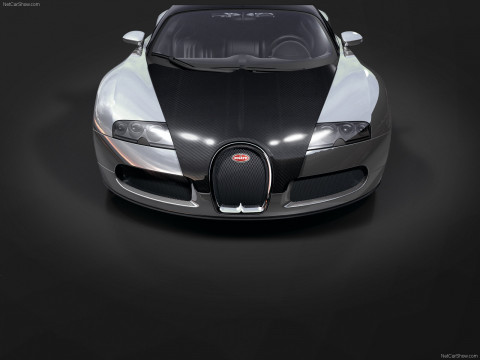 Bugatti Veyron Pur Sang фото