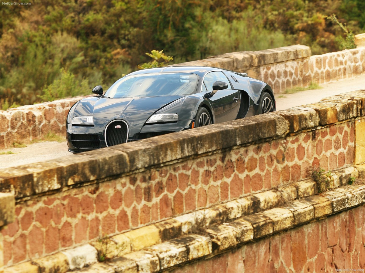 Bugatti Veyron Super Sport фото 80519