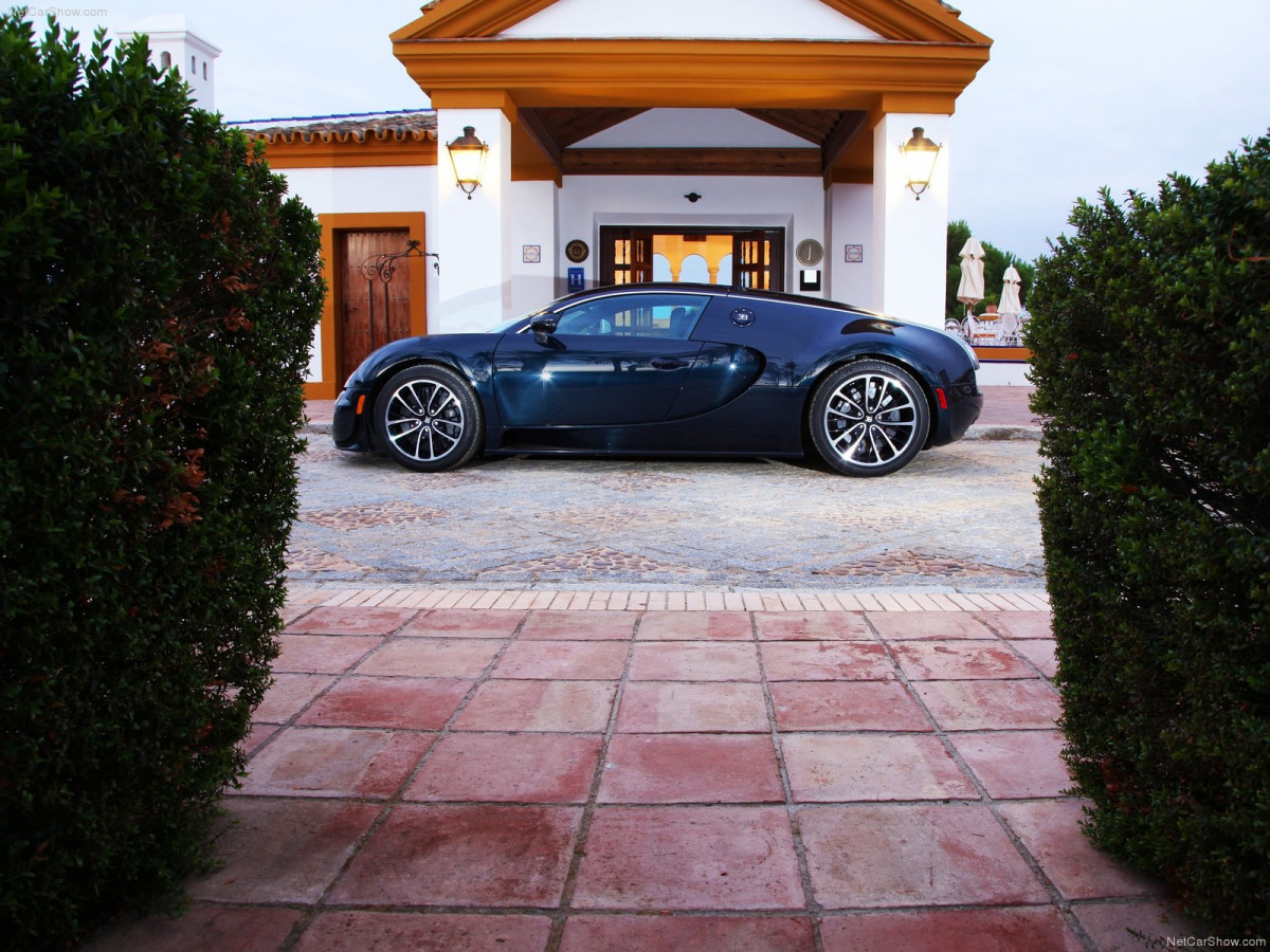 Bugatti Veyron Super Sport фото 80524