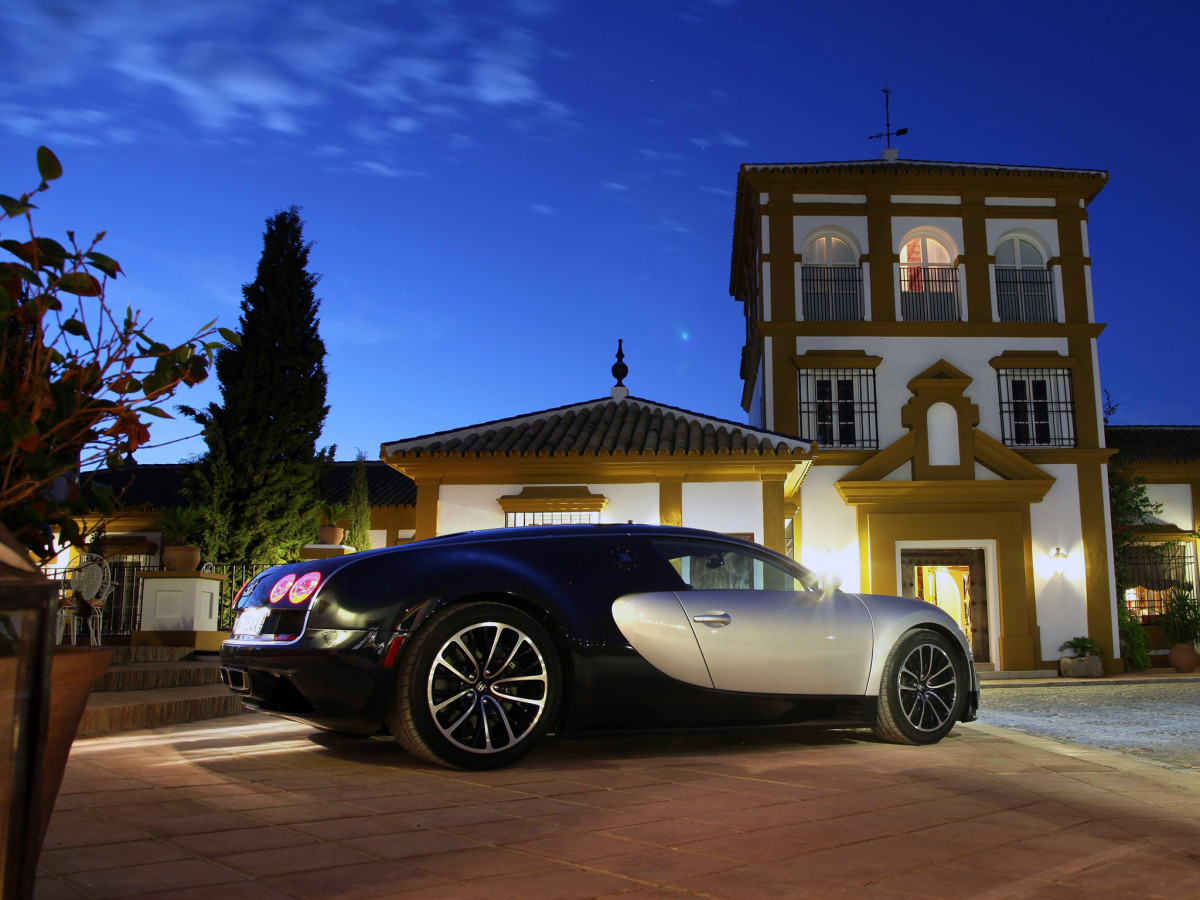 Bugatti Veyron фото 100344