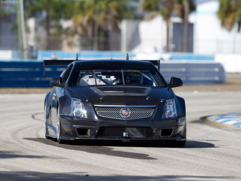 Cadillac CTS-V Coupe Race Car фото