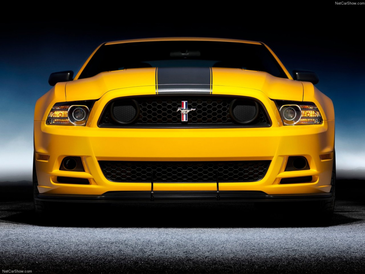Ford Mustang Boss 302 фото 89840