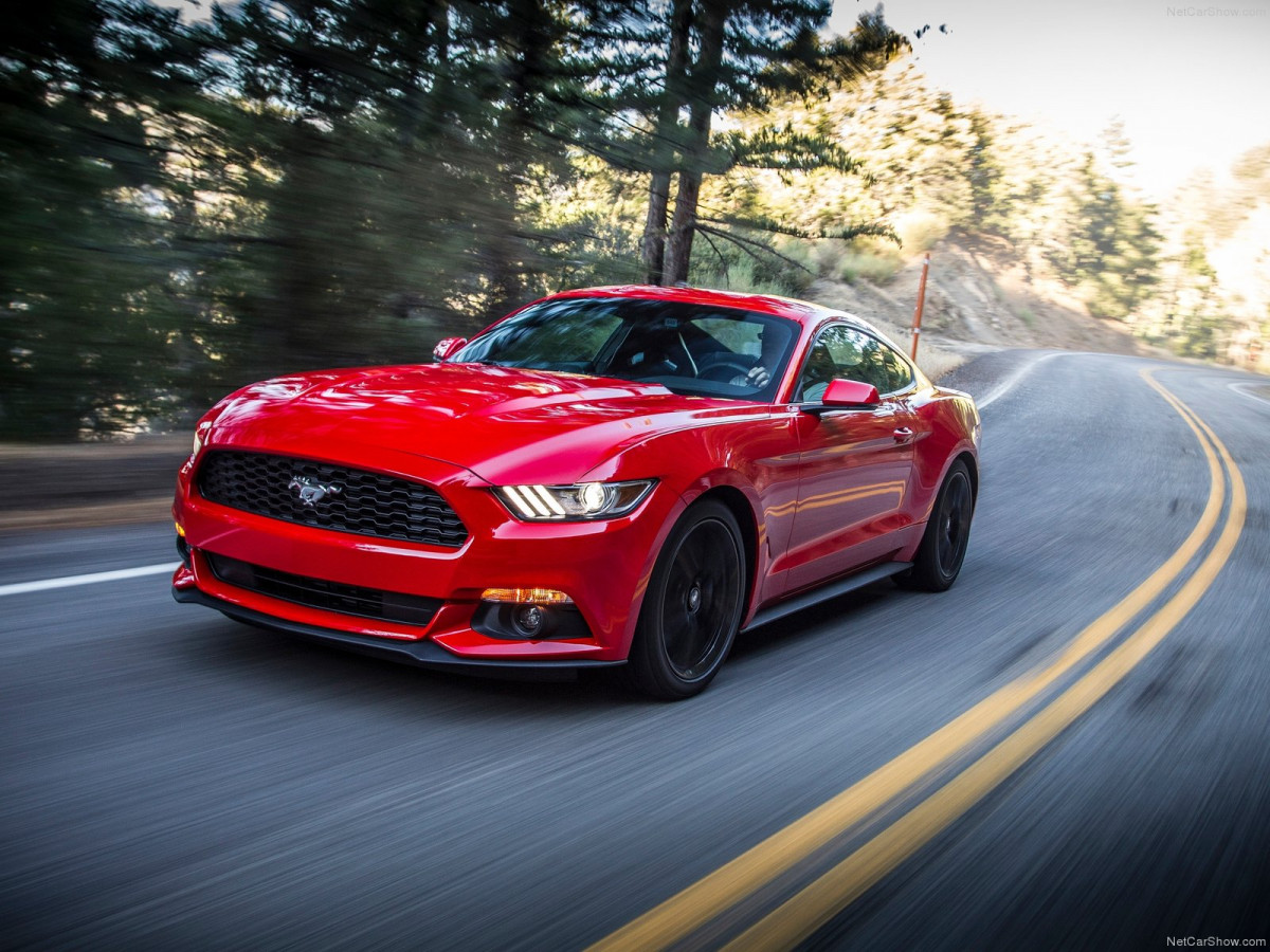 Ford Mustang EcoBoost фото 135159