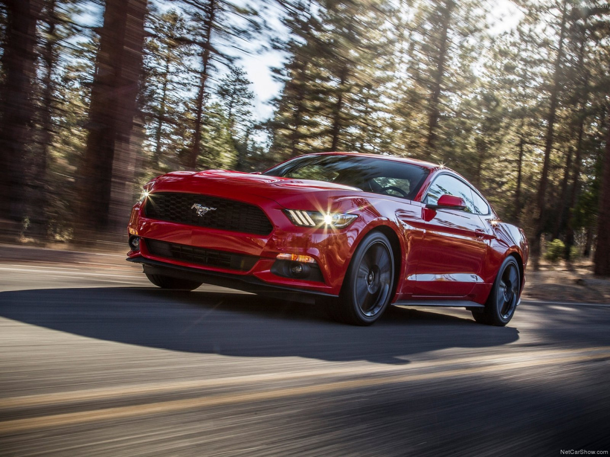 Ford Mustang EcoBoost фото 135164
