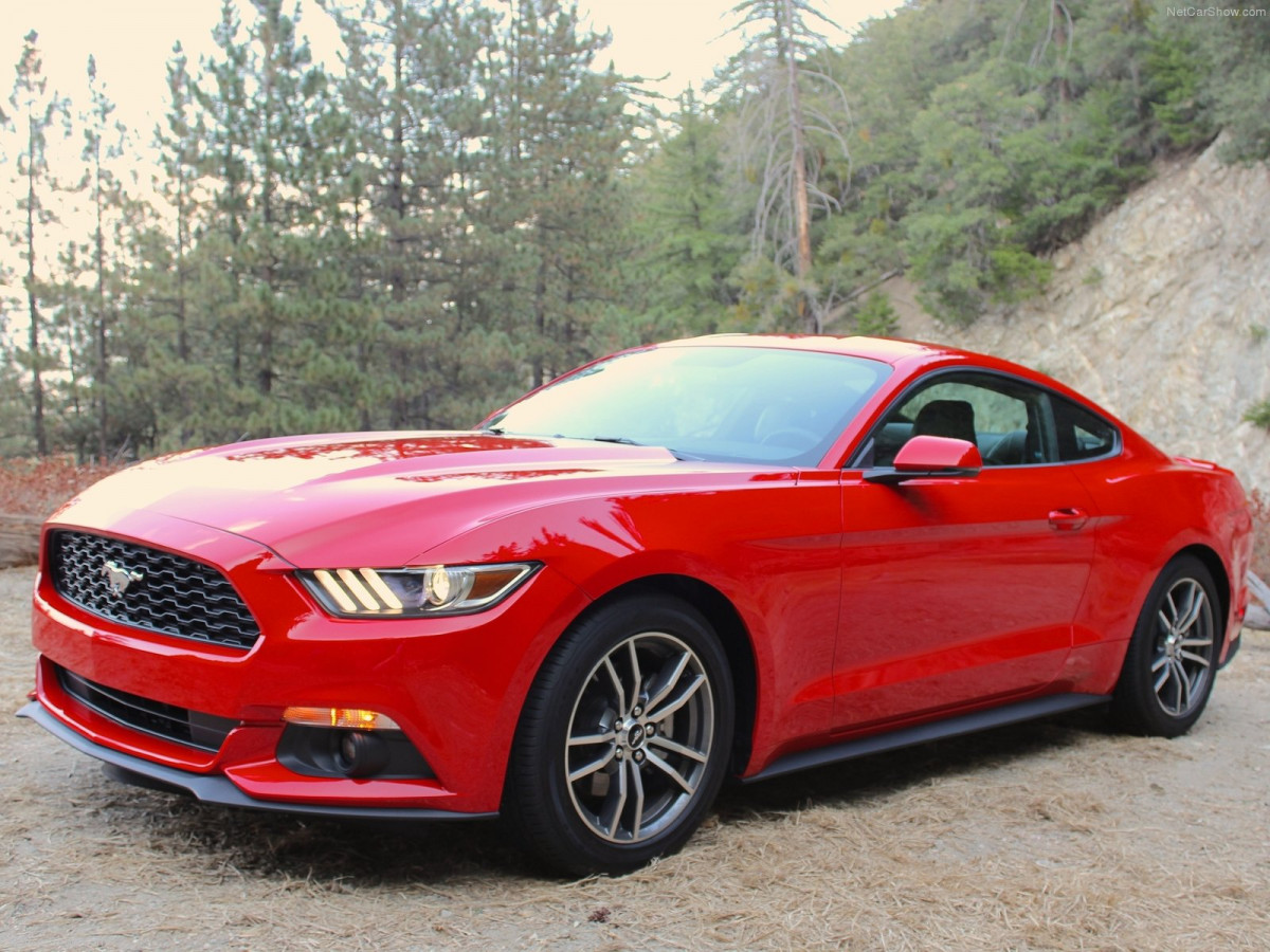 Ford Mustang EcoBoost фото 135166