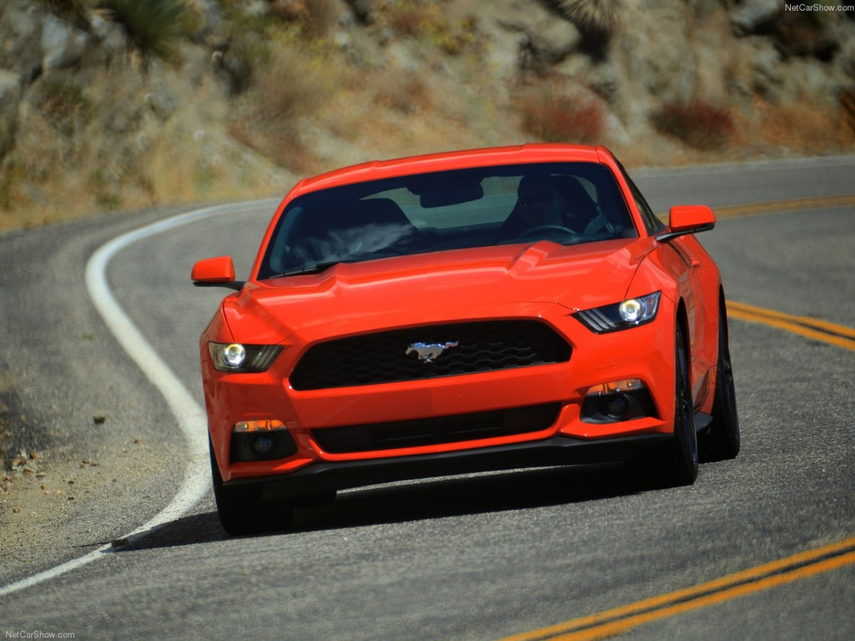Ford Mustang EcoBoost фото 135169