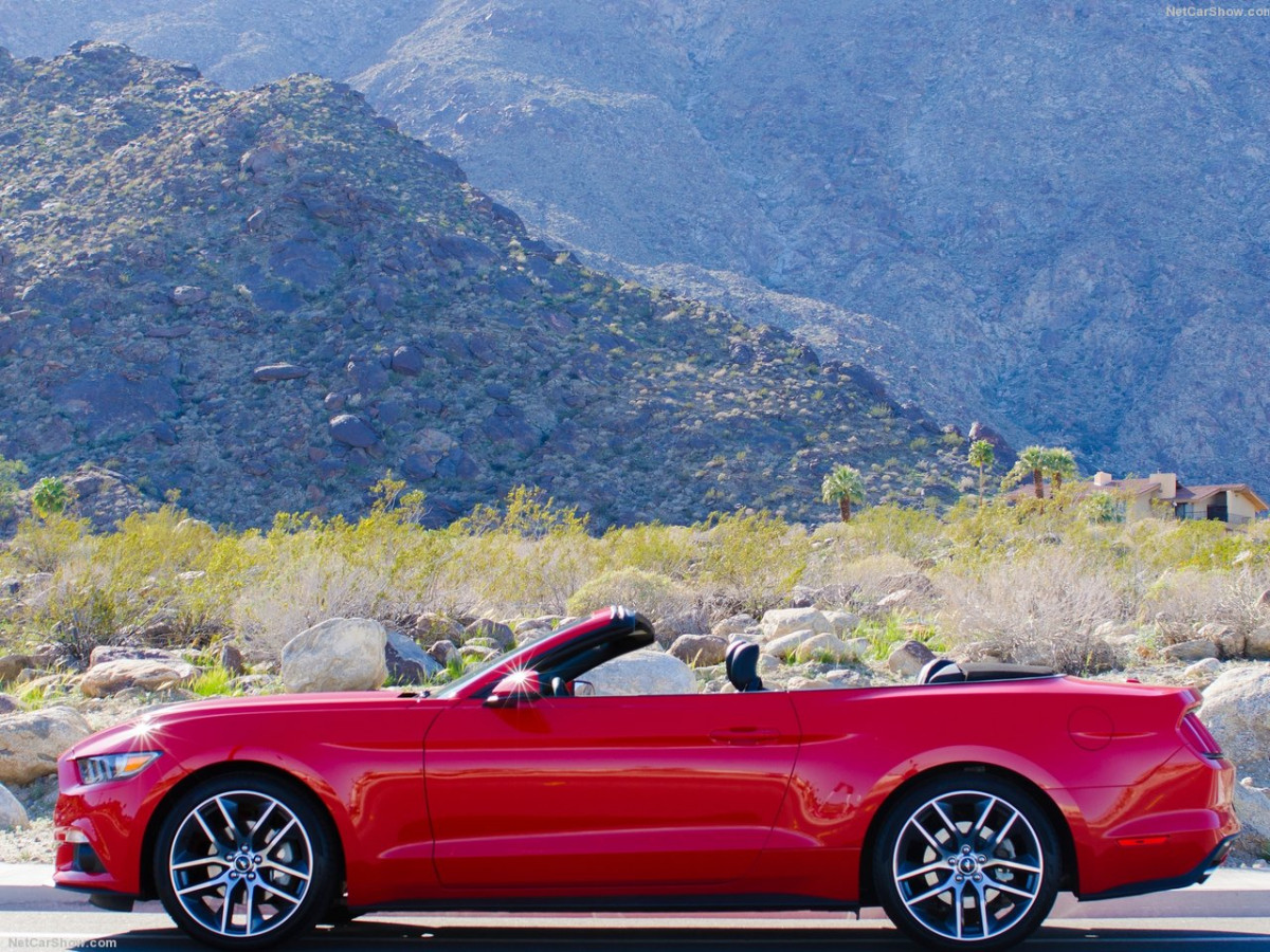 Ford Mustang Convertible фото 143443