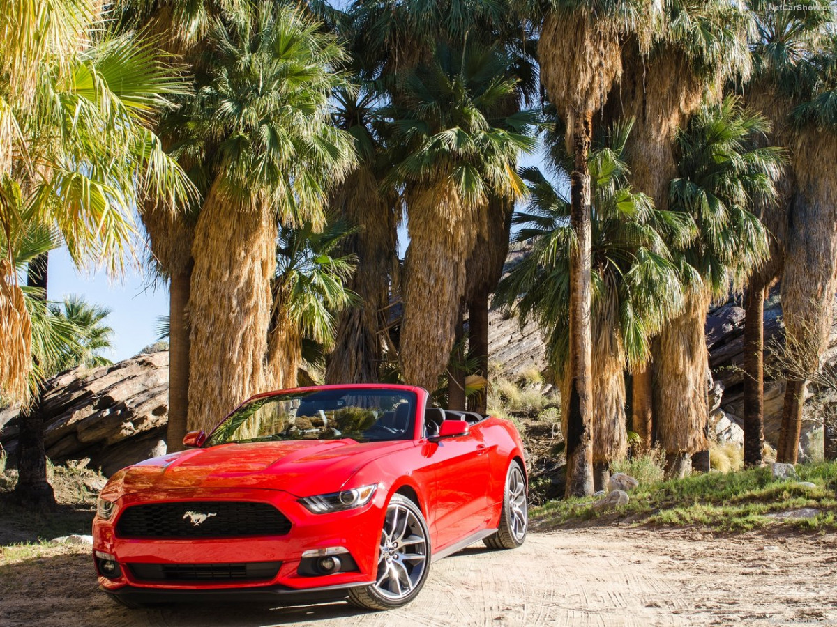 Ford Mustang Convertible фото 143448