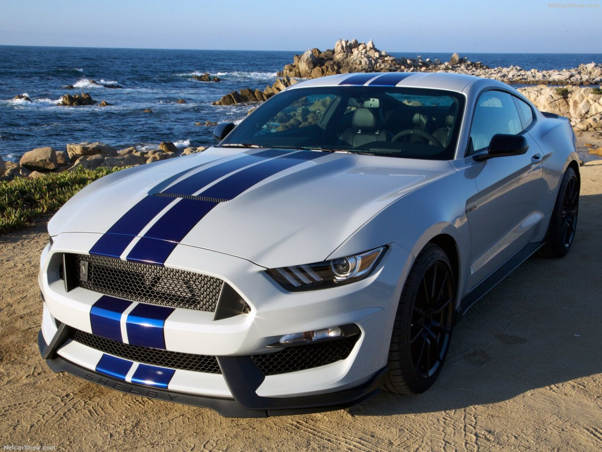 Ford Mustang Shelby GT350 фото 156042