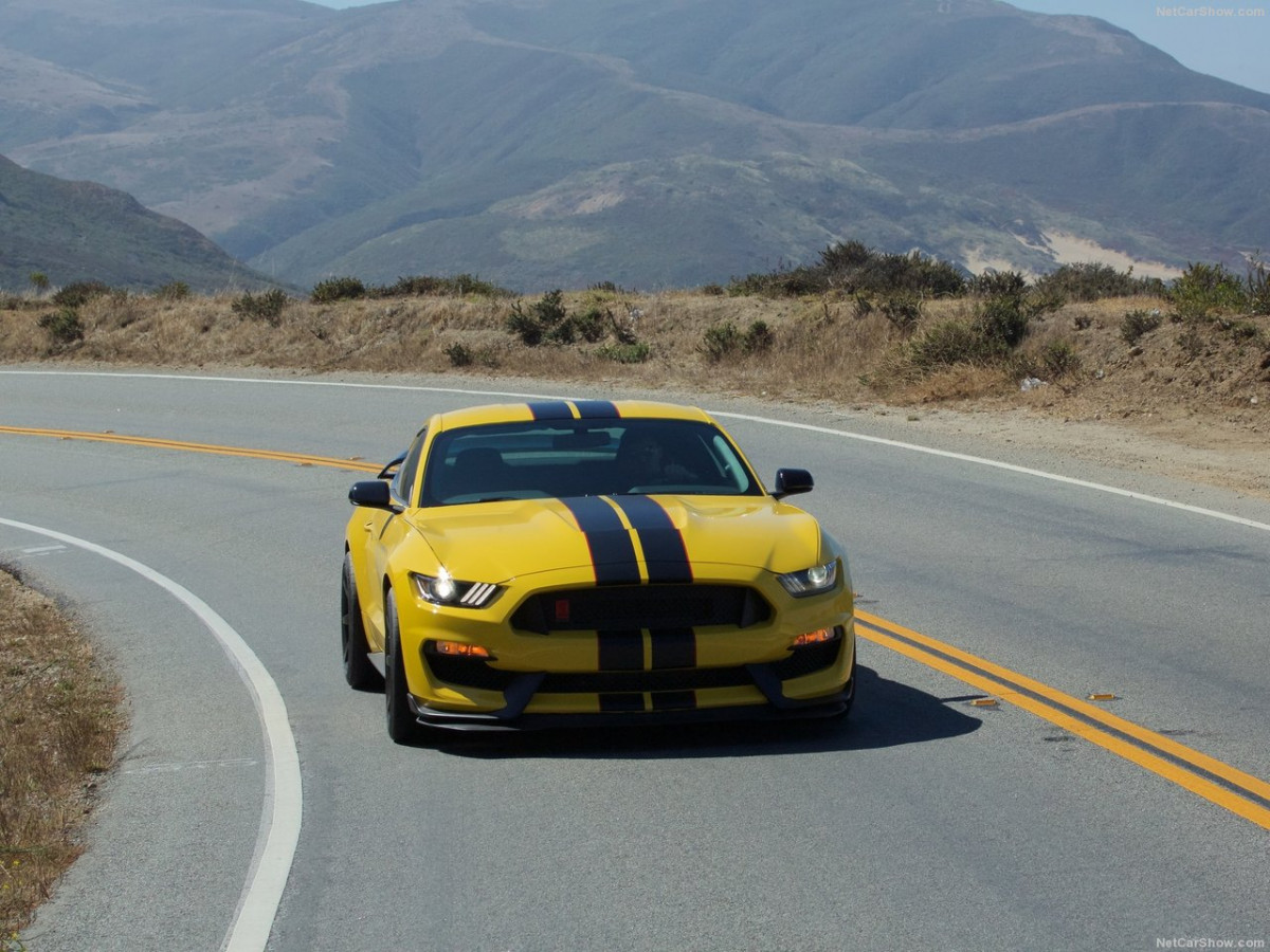 Ford Mustang Shelby GT350R фото 156054