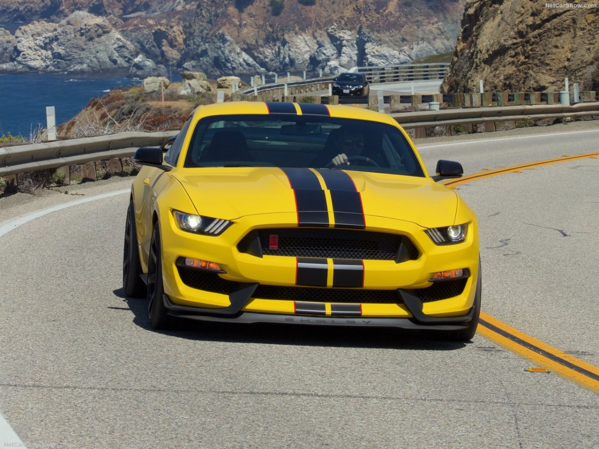 Ford Mustang Shelby GT350R фото 156055