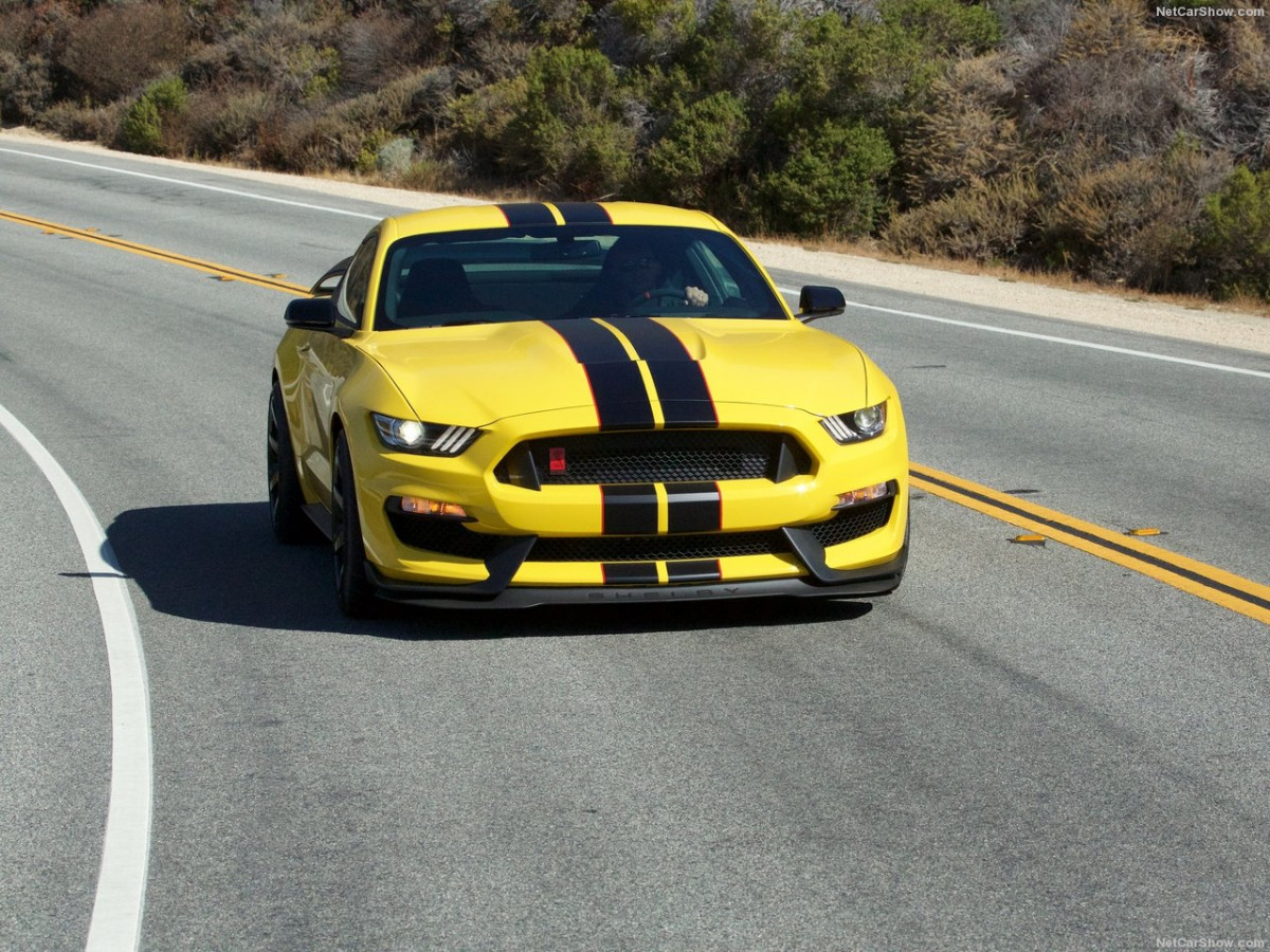 Ford Mustang Shelby GT350R фото 156056