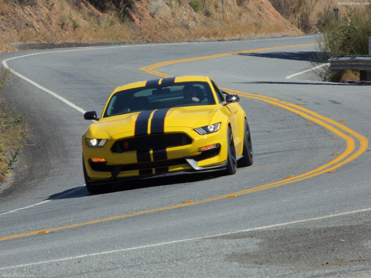 Ford Mustang Shelby GT350R фото 156057
