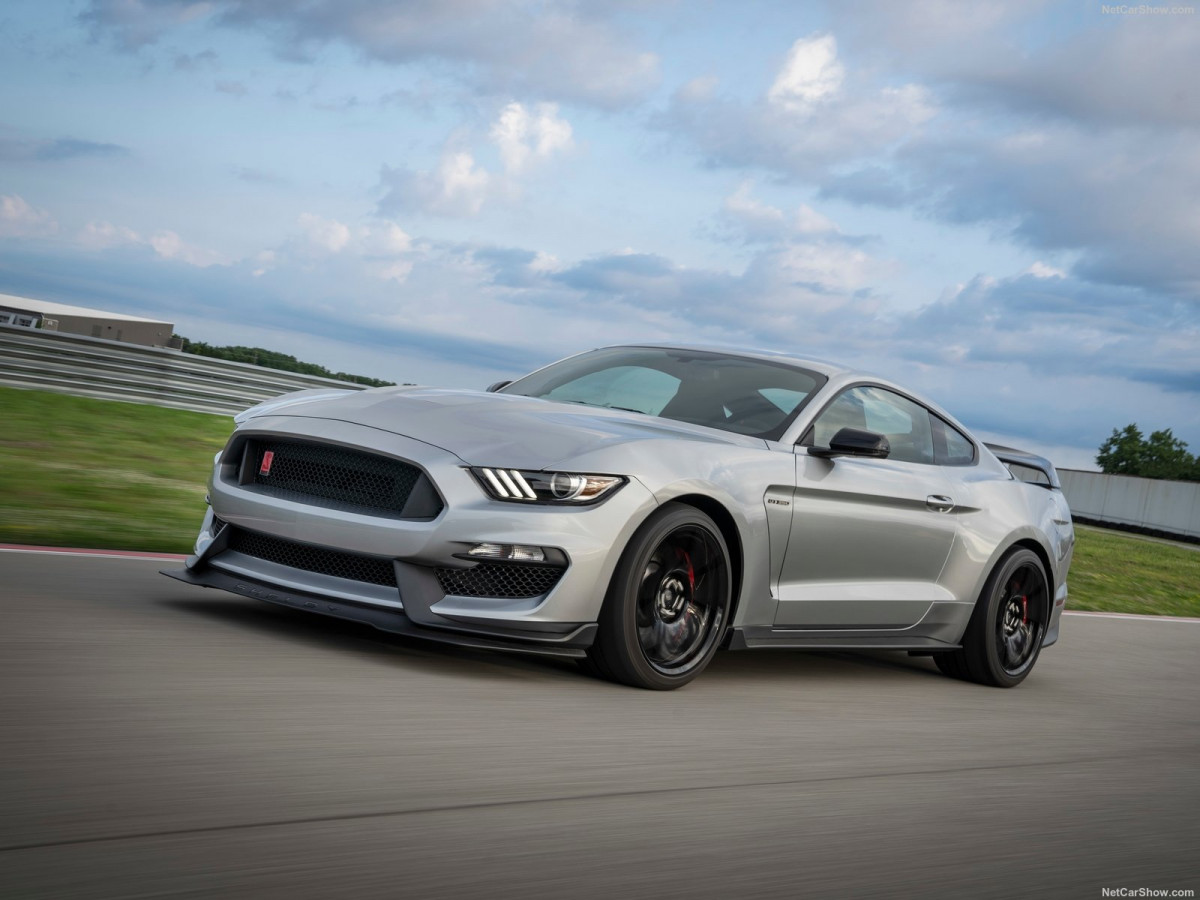 Ford Mustang Shelby GT350R фото 203261