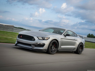 Ford Mustang Shelby GT350R фото