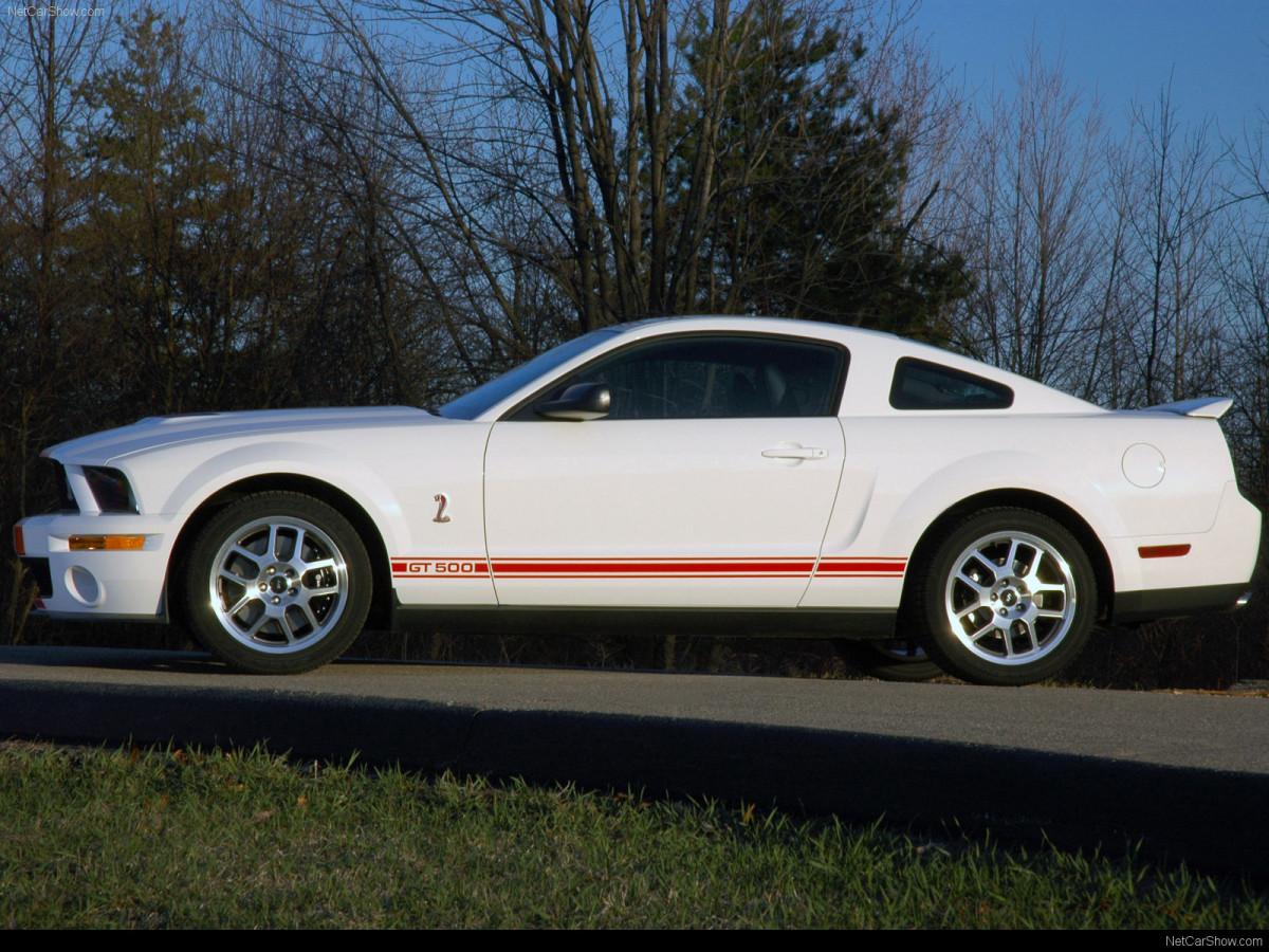 Ford Mustang Shelby GT500 Red Stripe фото 43424