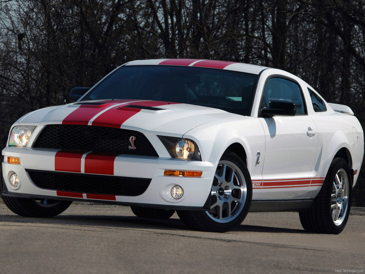 Ford Mustang Shelby GT500 Red Stripe фото 43426