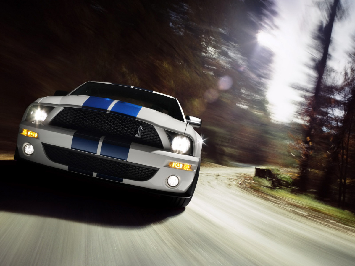 Ford Mustang Shelby фото 30827