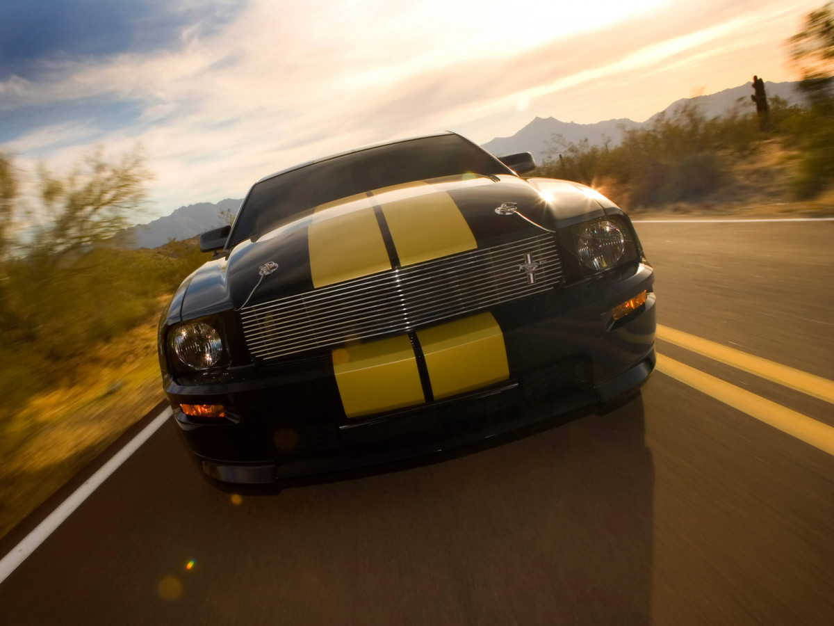 Ford Mustang Shelby фото 33582