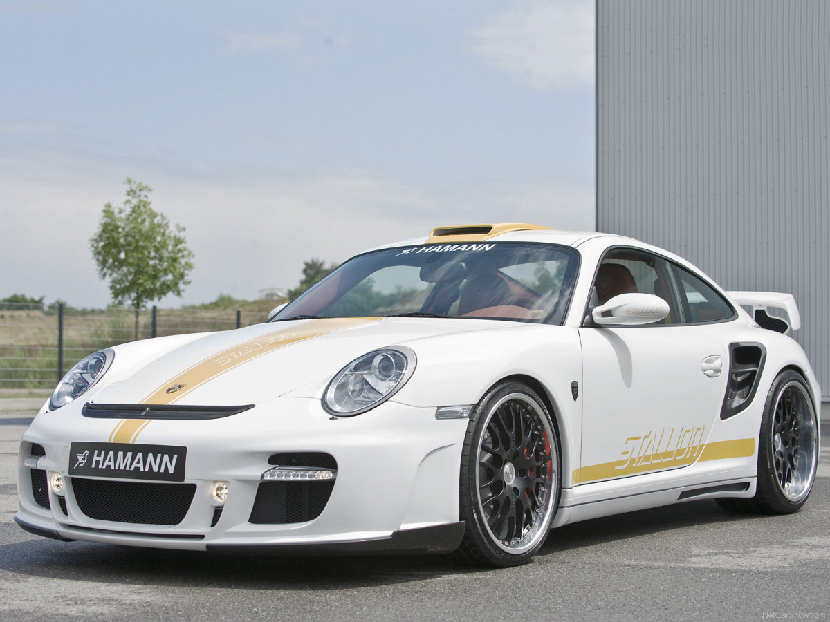 Hamann Porsche 911 Turbo Stallion фото 56292