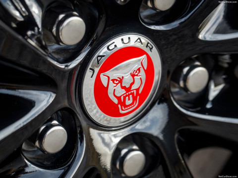 Jaguar XF Sportbrake фото