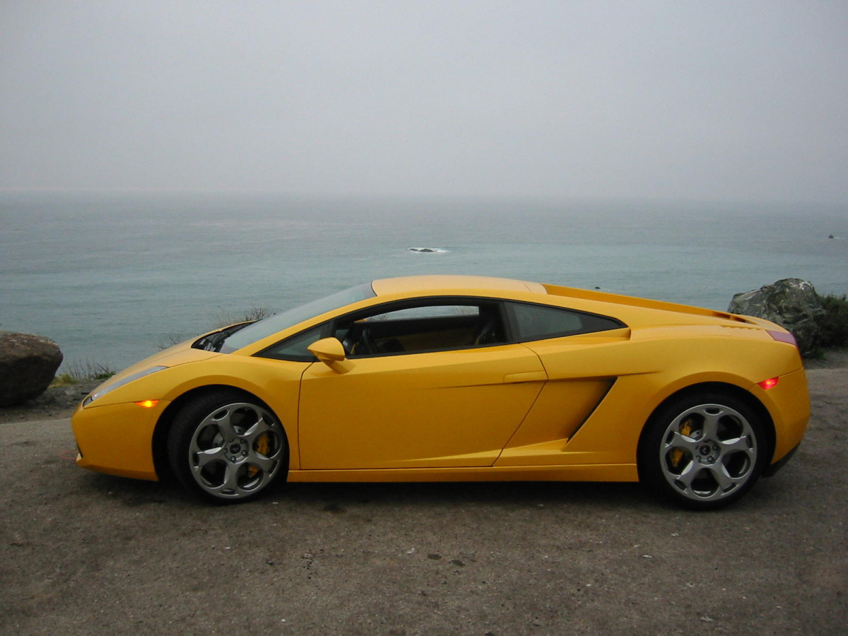 Lamborghini Gallardo фото 13043