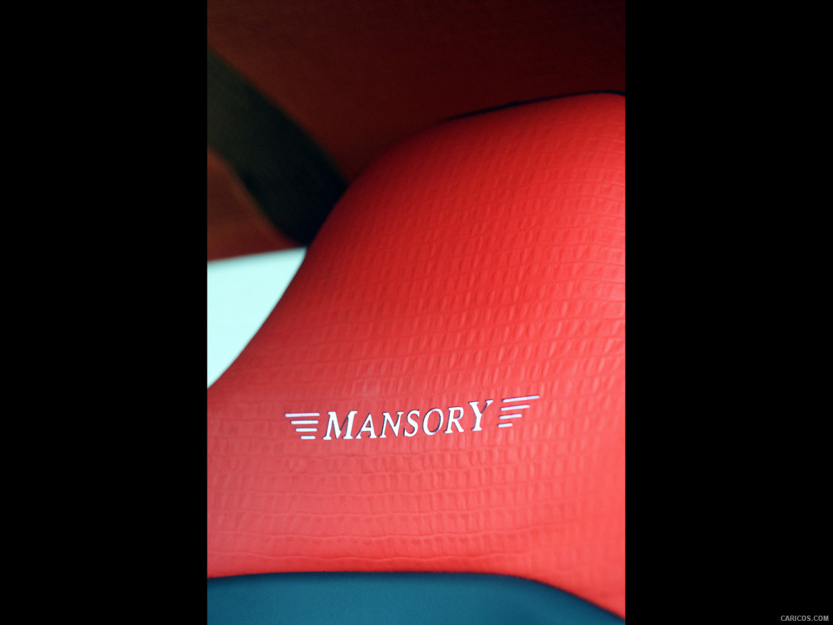 Mansory Aston Martin DB9 фото 136623
