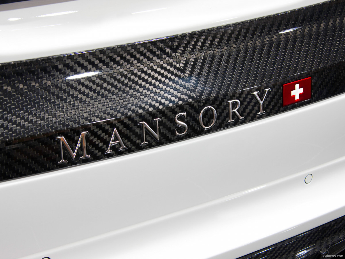 Mansory BMW X6 M фото 137295