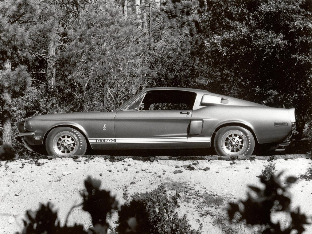 Shelby Super Cars Mustang GT500 фото 6059