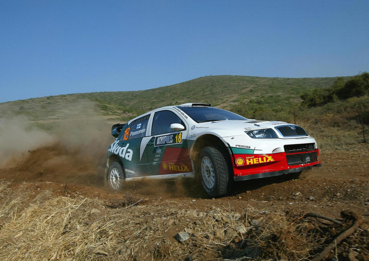 Skoda Fabia WRC фото 28947