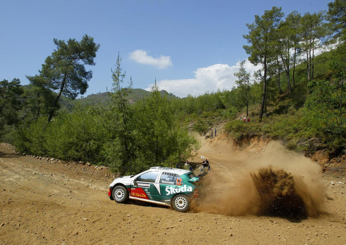 Skoda Fabia WRC фото 28951