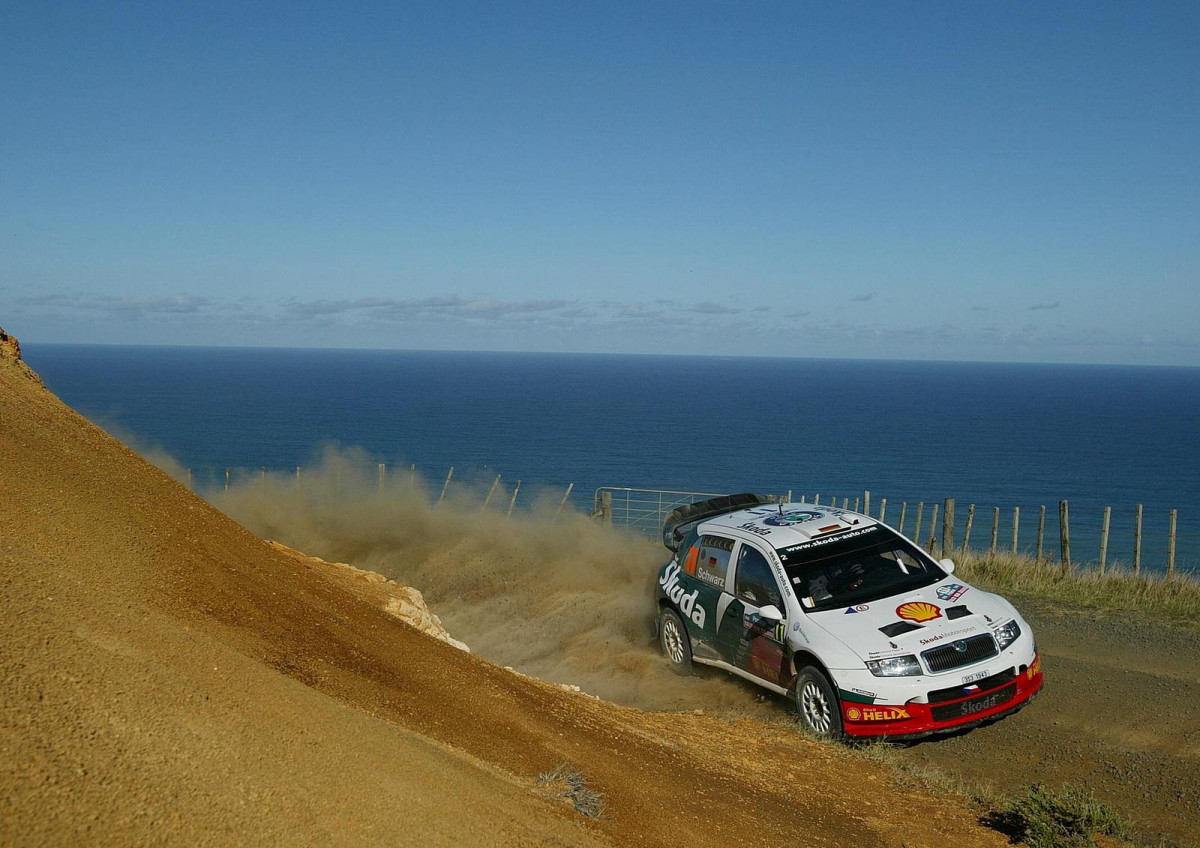 Skoda Fabia WRC фото 28954