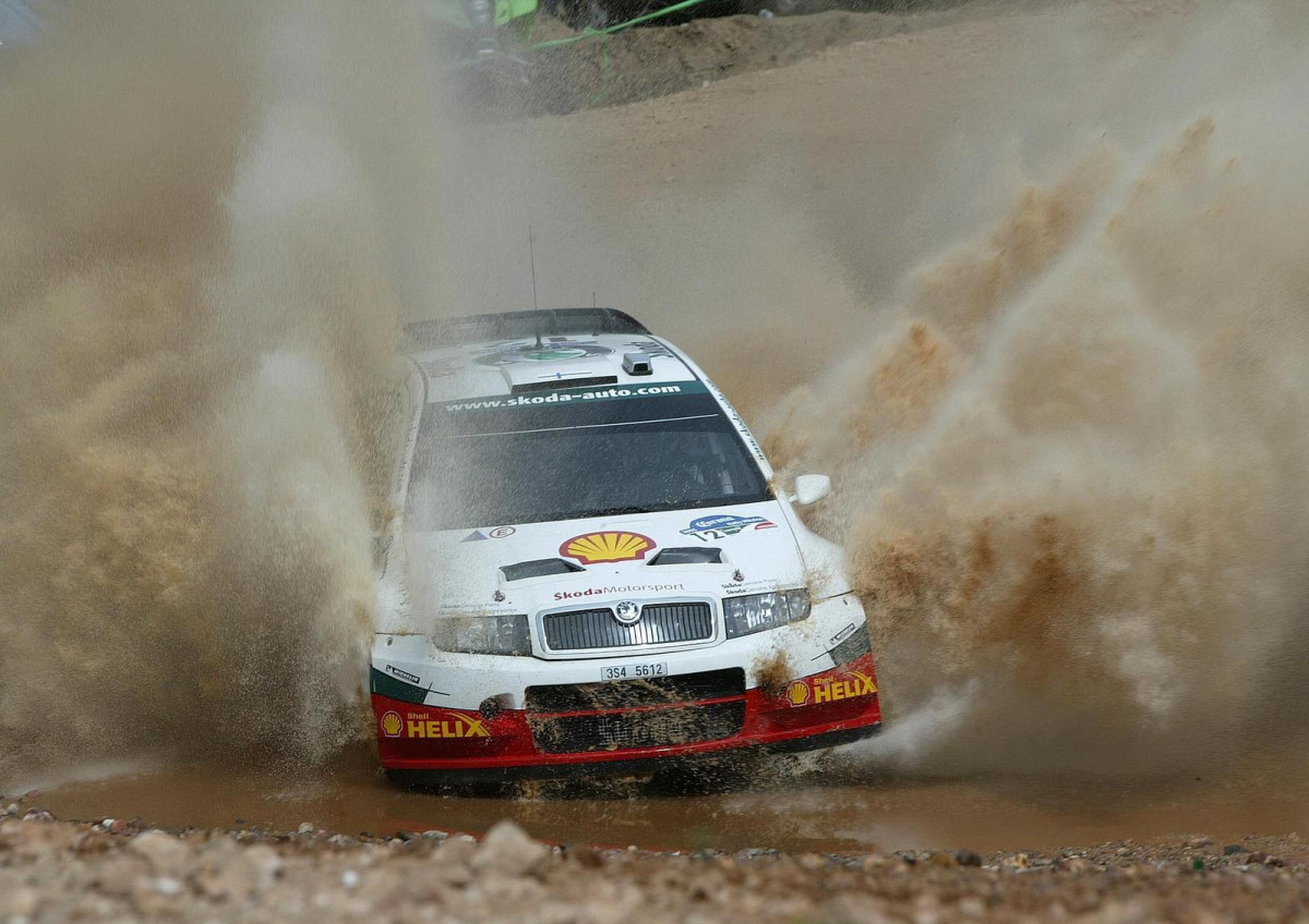 Skoda Fabia WRC фото 28957
