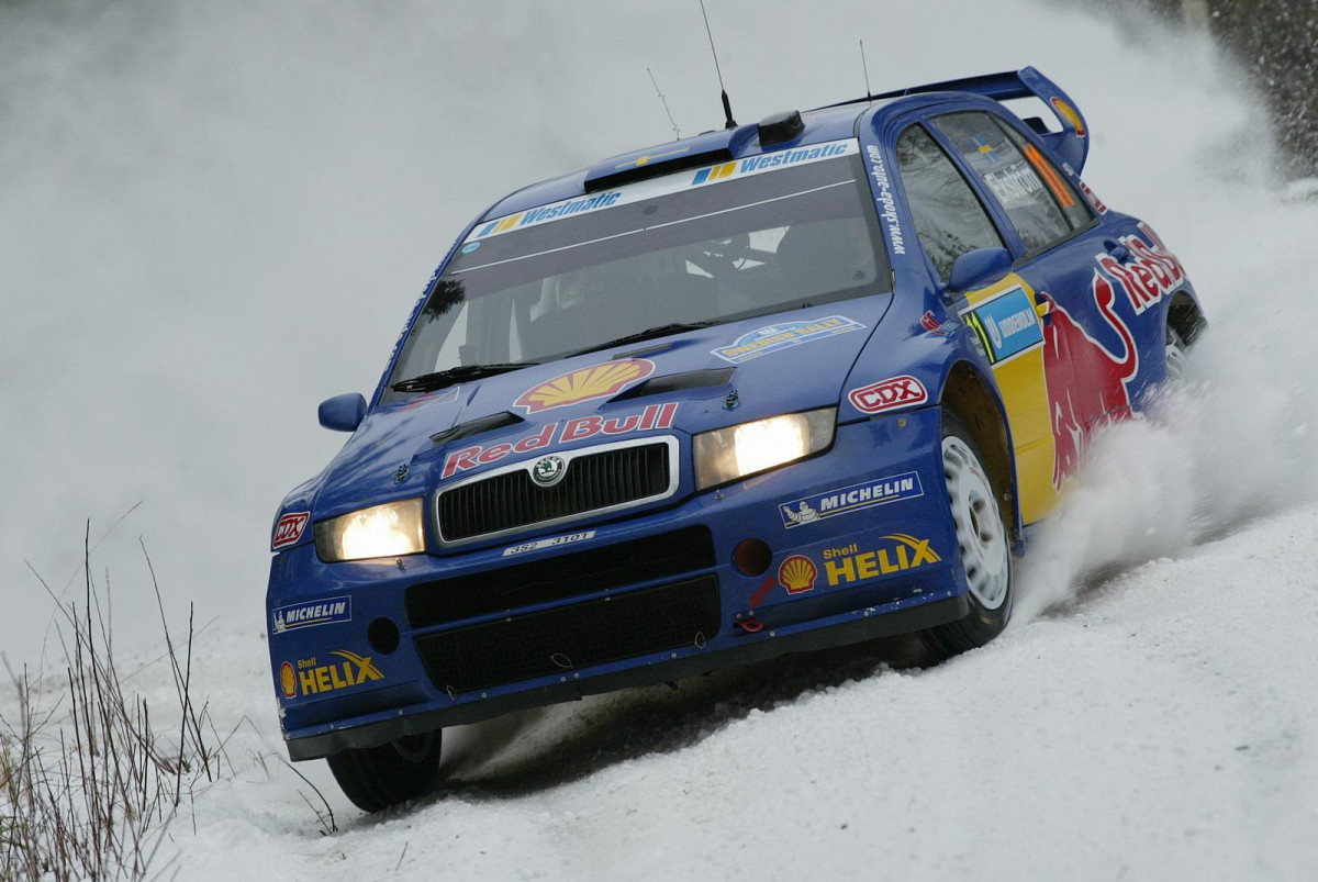 Skoda Fabia WRC фото 28958