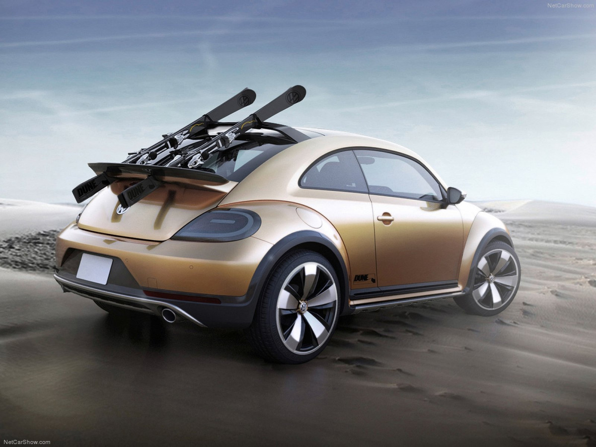 Volkswagen Beetle Dune фото 131110
