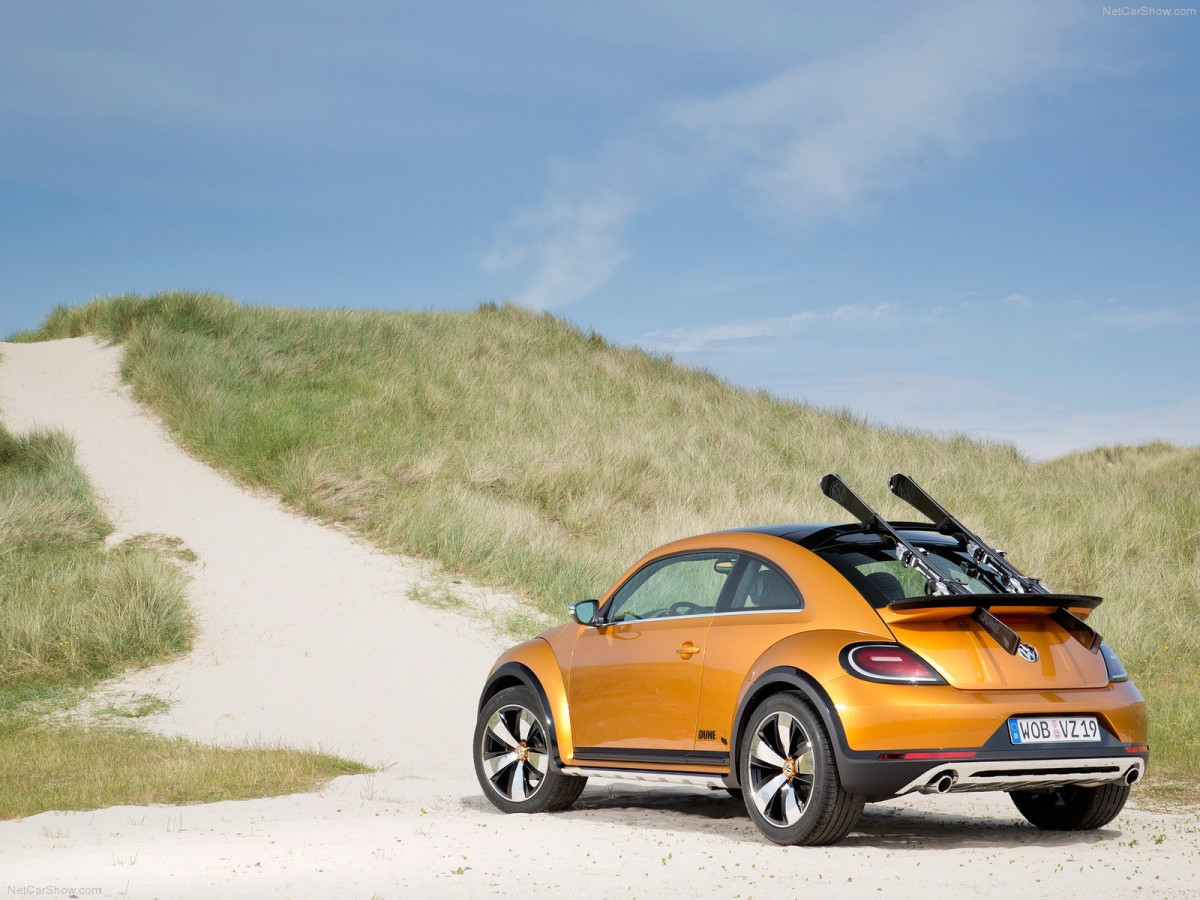 Volkswagen Beetle Dune фото 131130