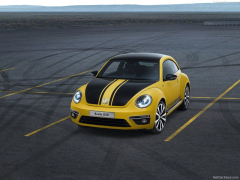 Volkswagen Beetle R фото