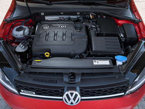 Volkswagen Golf Alltrack фото