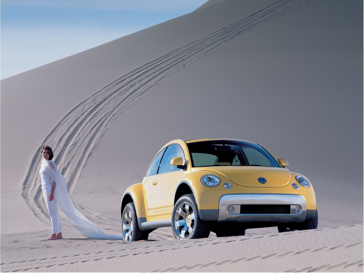 Volkswagen New Beetle Dune фото 9720