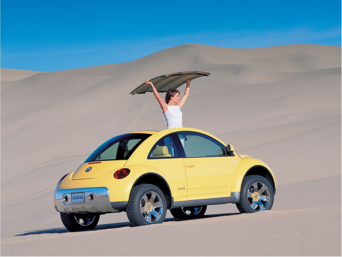 Volkswagen New Beetle Dune фото 9726