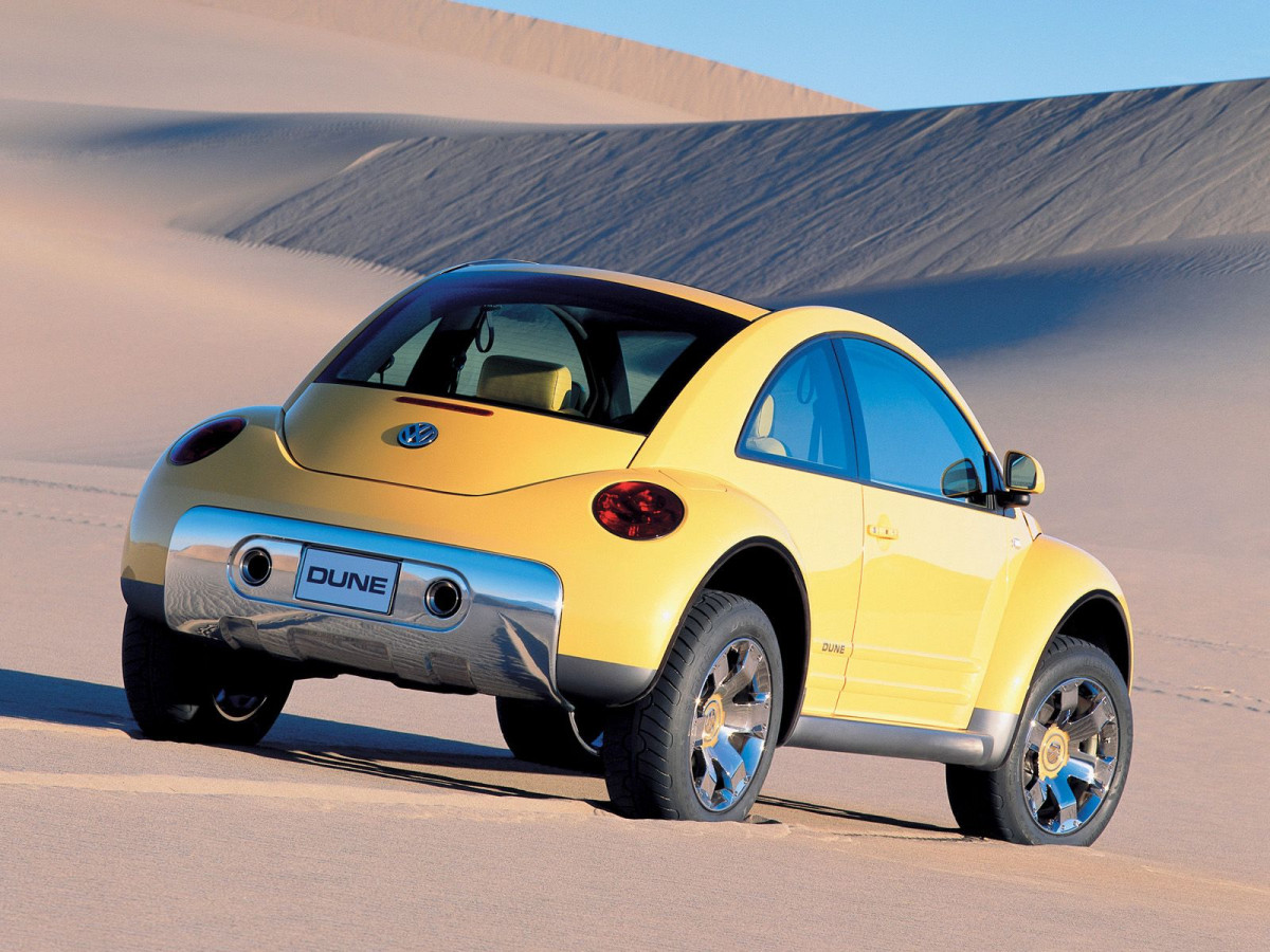 Volkswagen New Beetle Dune фото 9729