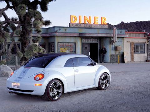 Volkswagen New Beetle Ragster фото