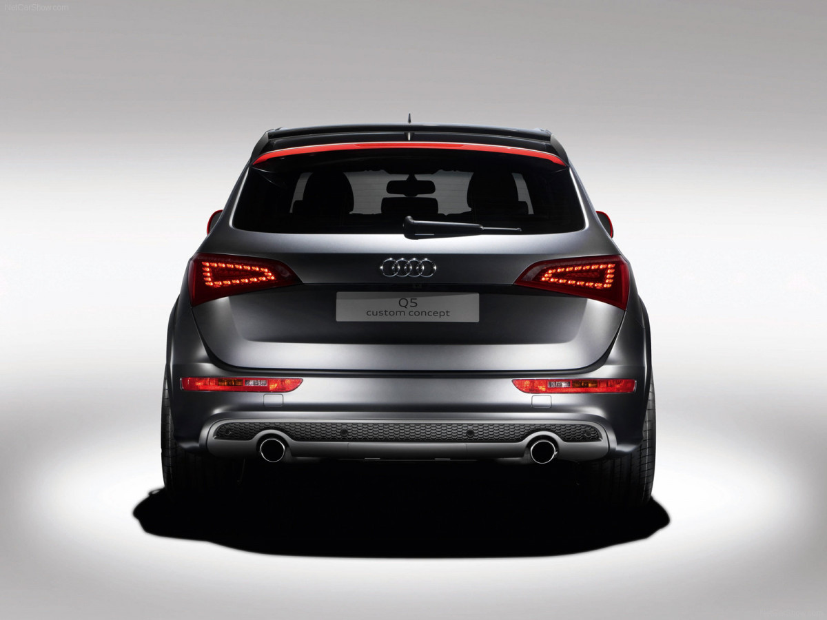 Audi Q5 Custom Concept фото 66167