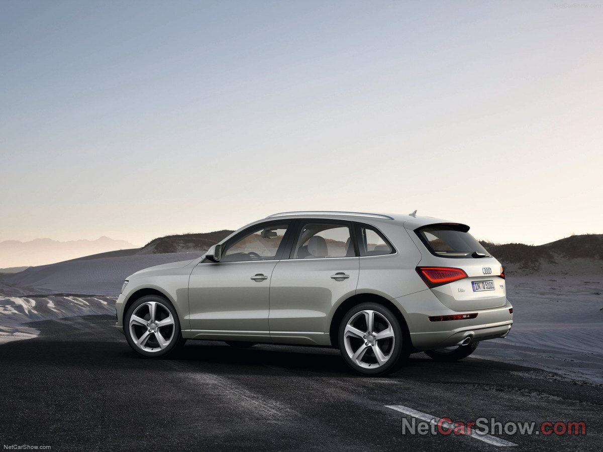 Audi Q5 фото 94784