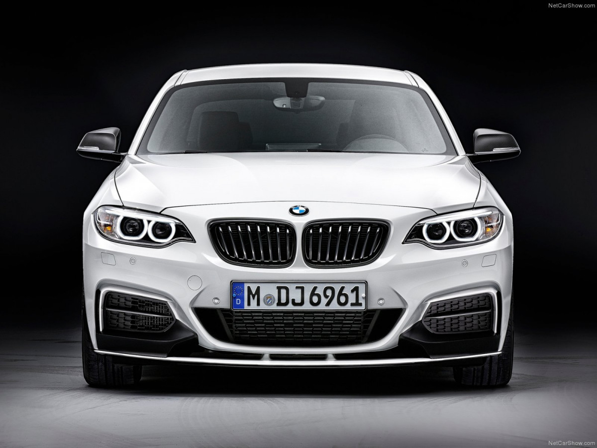 BMW 2-Series Coupe фото 111148